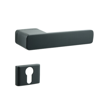 Okovje za vrata COBRA STRIGA-S (črno)